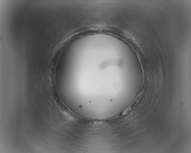 X0000073951304200609111640