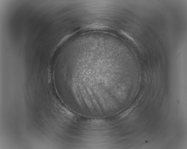 X0000073951306200609111640