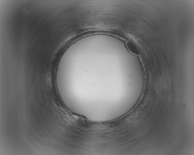 X0000073951307200609111640