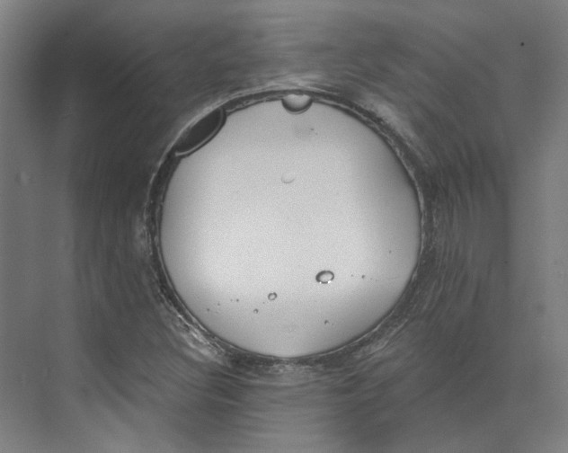 X0000073951308200609111640