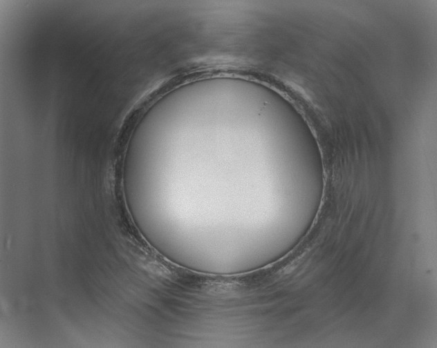 X0000073951309200609111640