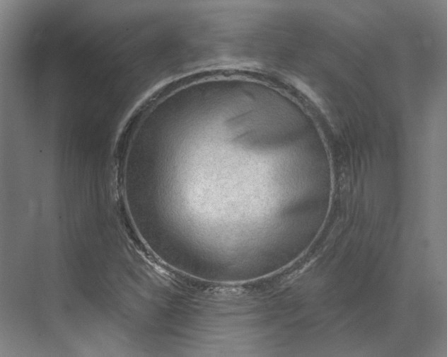 X0000073951310200609111640