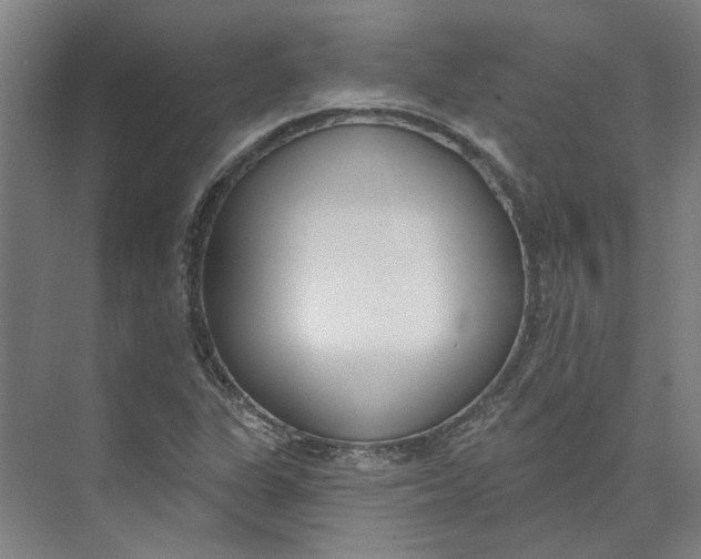 X0000073951311200609111640