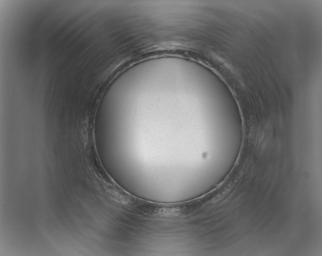 X0000073951313200609111640