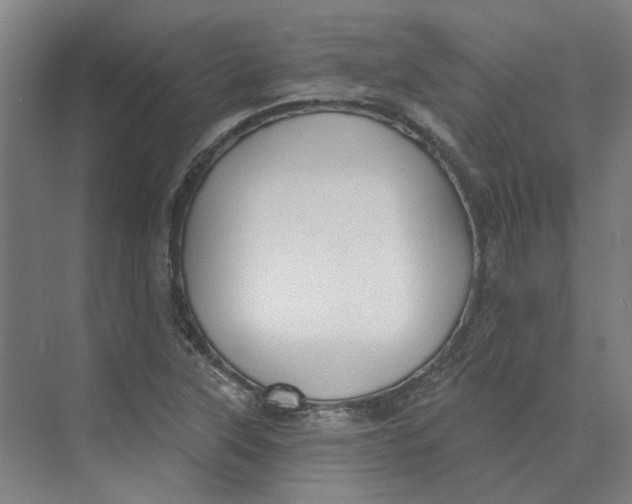 X0000073951315200609111640