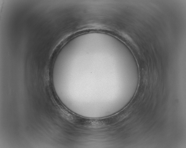 X0000073951318200609111640