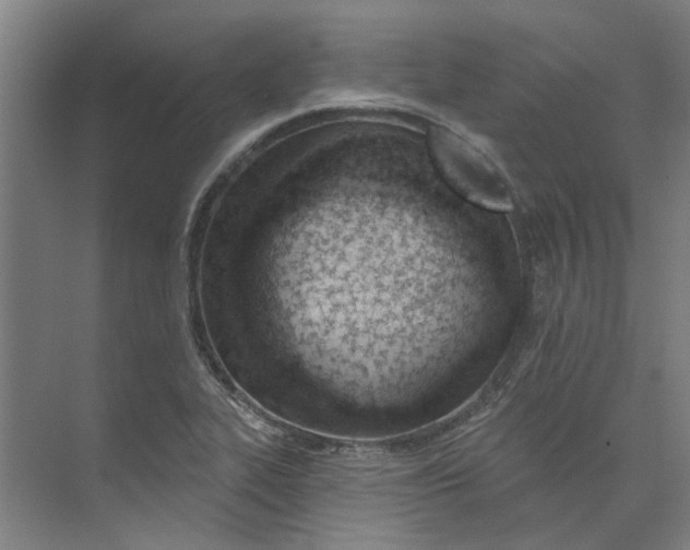 X0000073951319200609111640