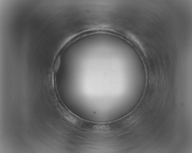 X0000073951320200609111640