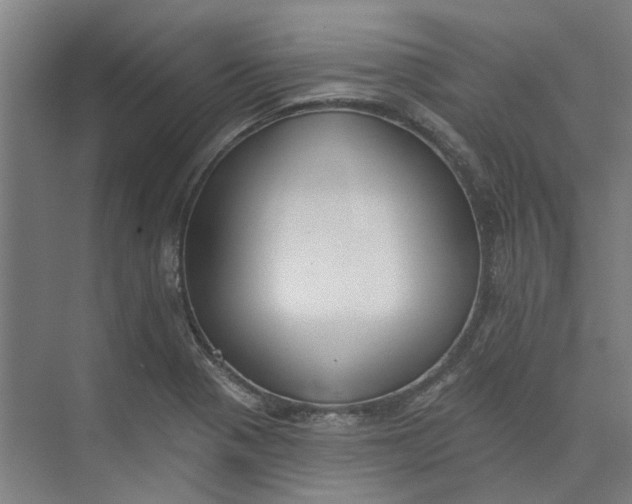 X0000073951321200609111640