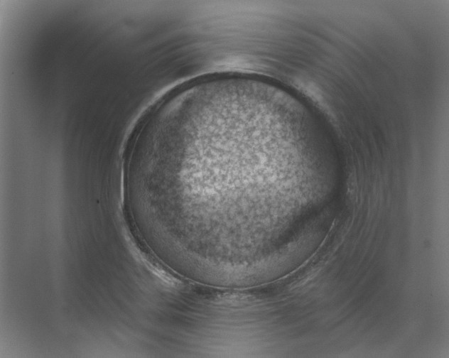 X0000073951323200609111640