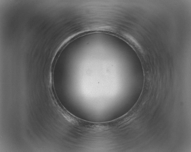 X0000073951324200609111640