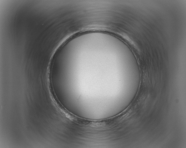 X0000073951325200609111640