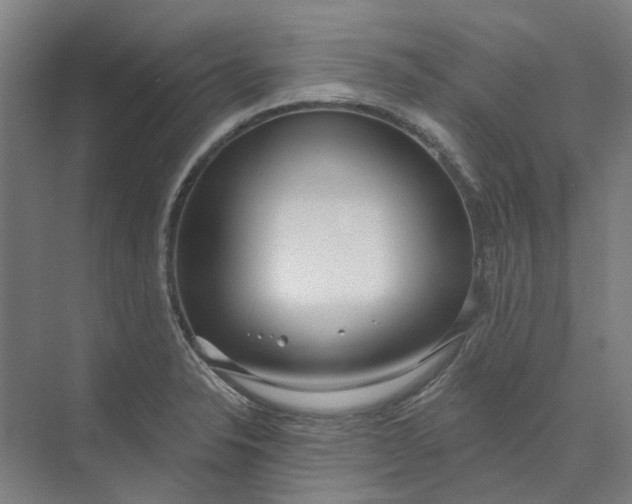 X0000073951326200609111640