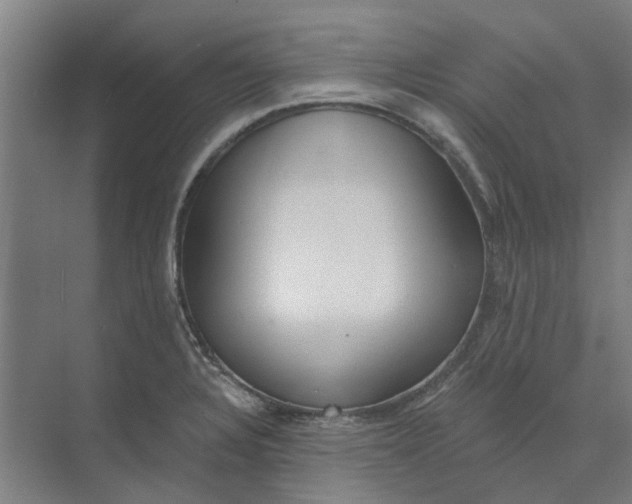 X0000073951328200609111640