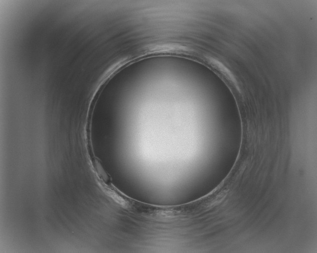 X0000073951330200609111640