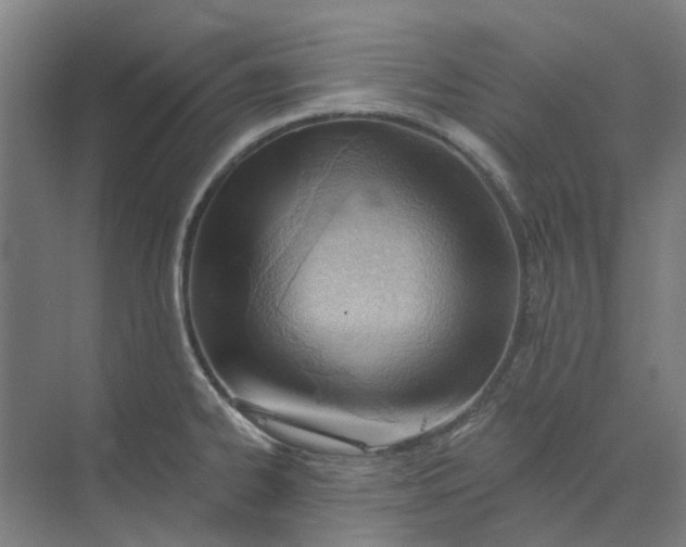 X0000073951334200609111640