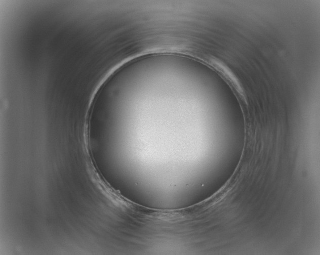 X0000073951340200609111640