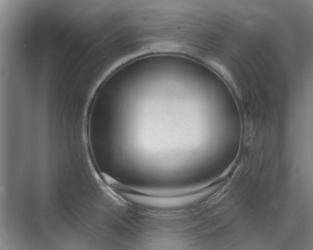 X0000073951342200609111640