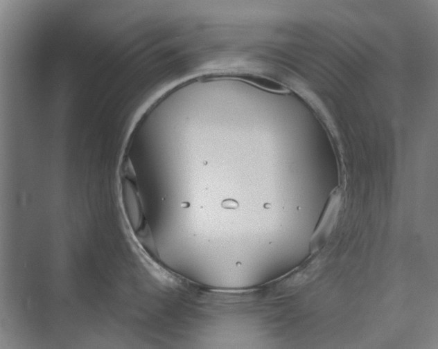 X0000073951344200609111640