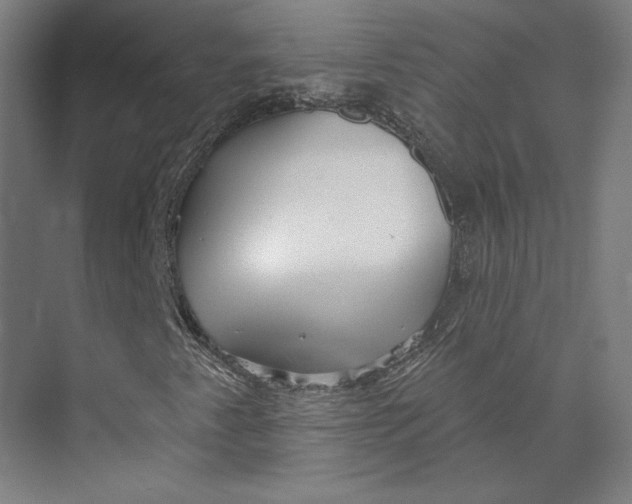 X0000073951345200609111639