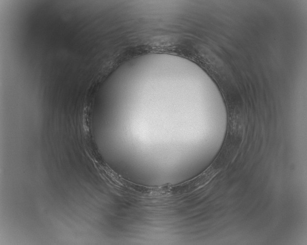 X0000073951346200609111639