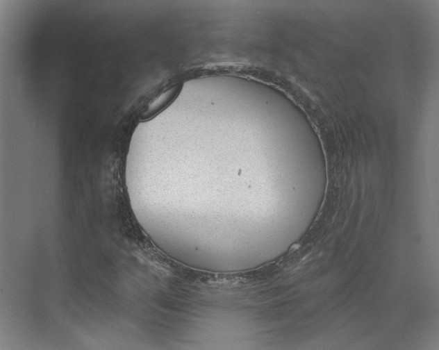 X0000073951351200609111639