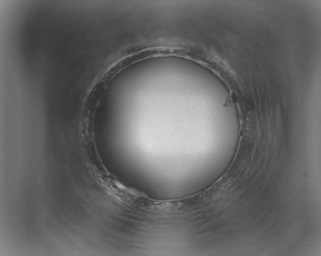 X0000073951352200609111639