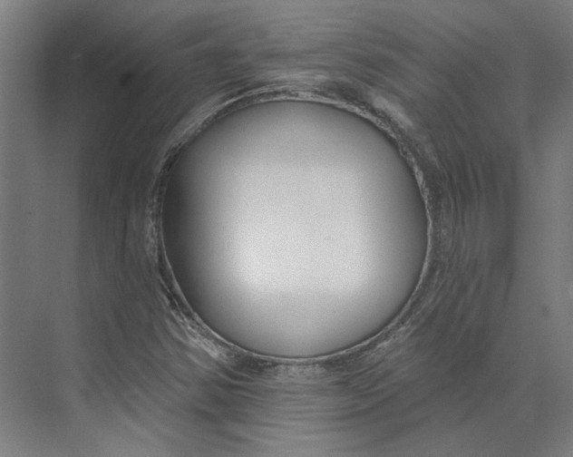 X0000073951354200609111639