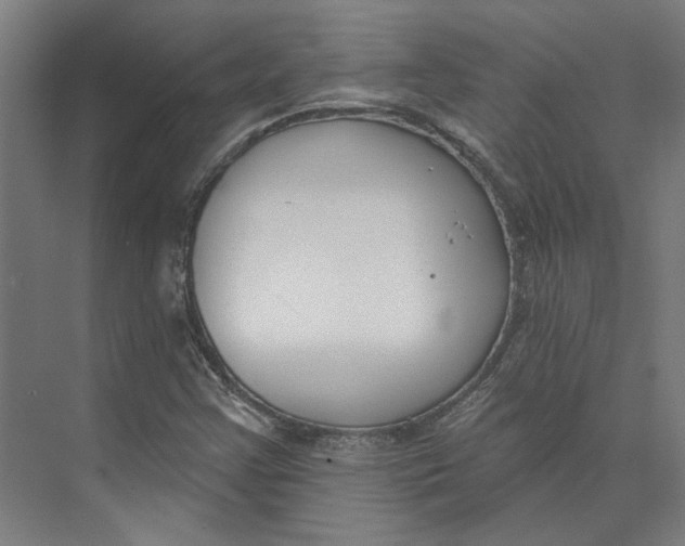 X0000073951355200609111639