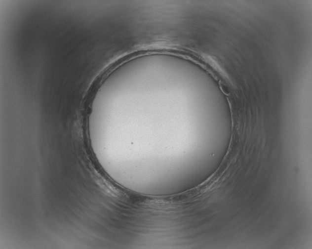 X0000073951356200609111639