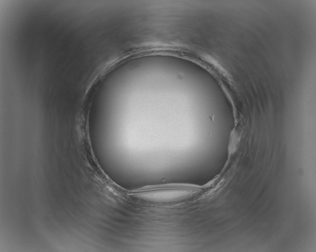 X0000073951357200609111639