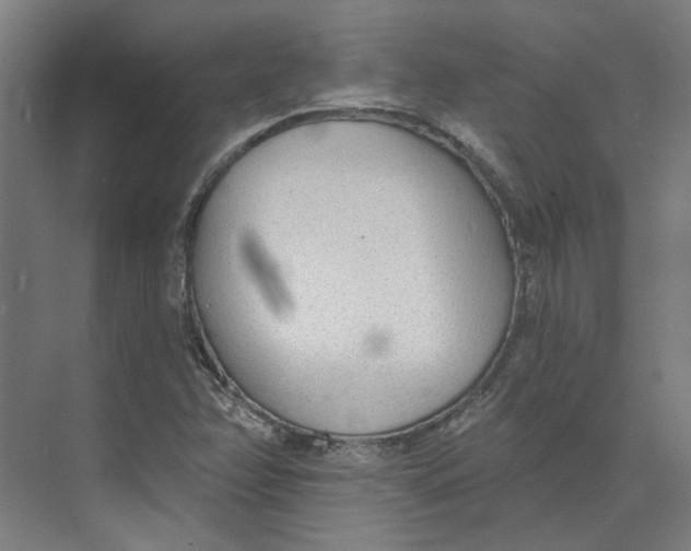 X0000073951358200609111639