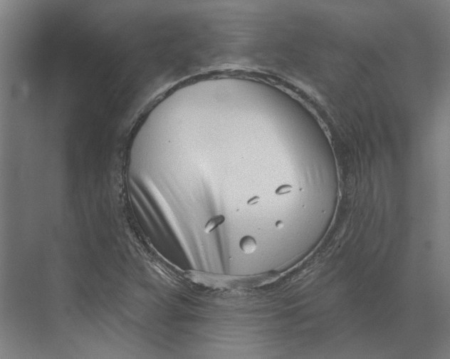 X0000073951359200609111639