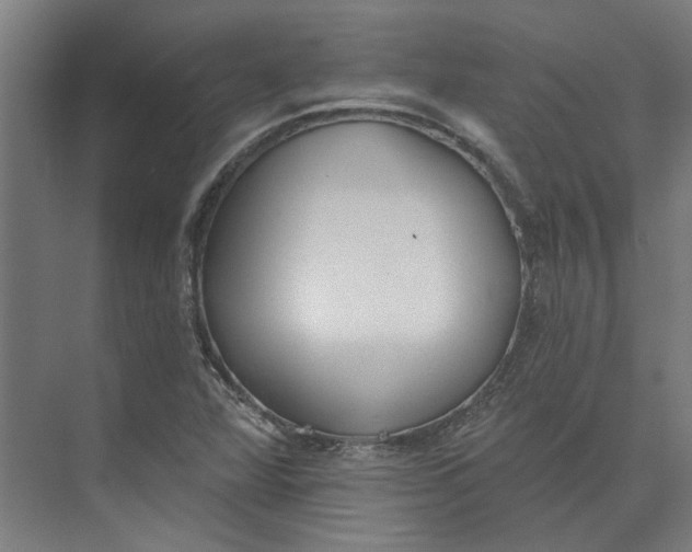 X0000073951360200609111639