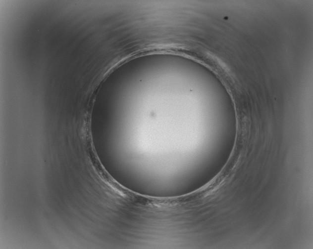 X0000073951361200609111639