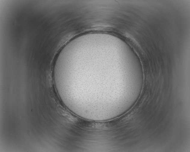 X0000073951362200609111639