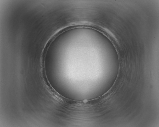 X0000073951364200609111639