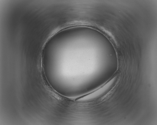 X0000073951365200609111639