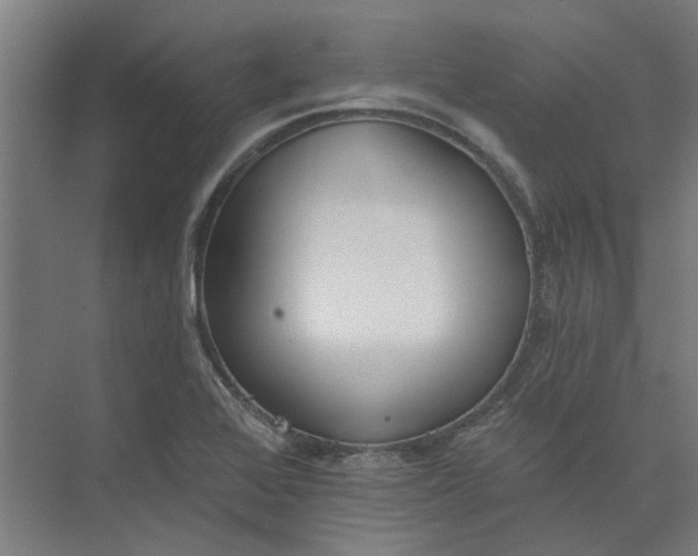 X0000073951368200609111639