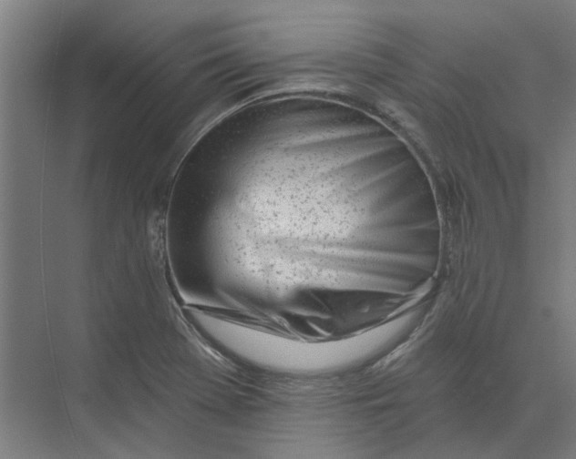 X0000073951369200609111639