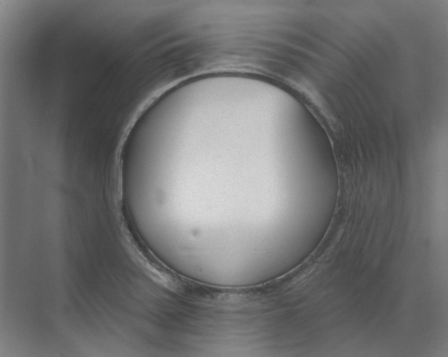 X0000073951371200609111639