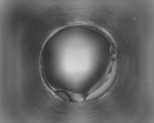 X0000073951373200609111639