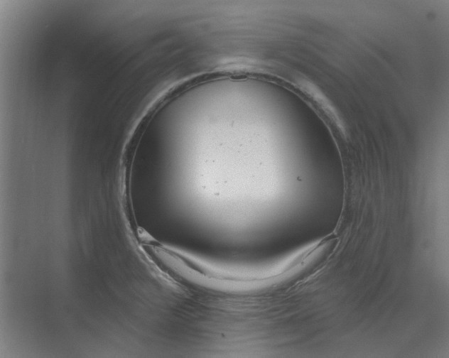 X0000073951376200609111639