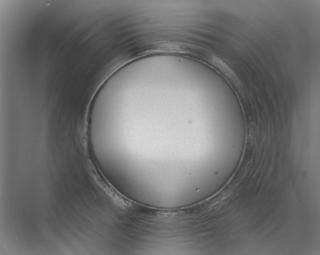 X0000073951378200609111639