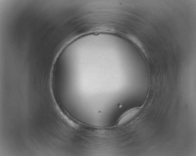 X0000073951379200609111639