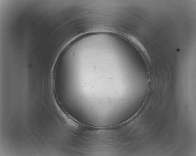 X0000073951380200609111639