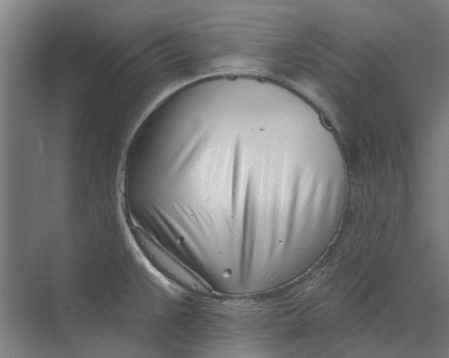 X0000073951383200609111639