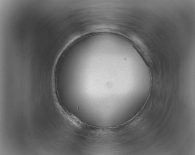 X0000073951384200609111639