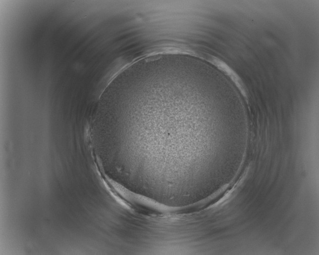 X0000073951385200609111639