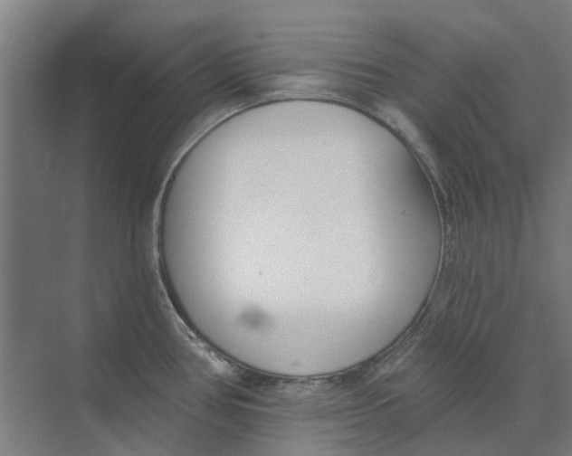 X0000073951386200609111639